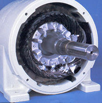 CLICK  TO  SELECT  A  DIFFERENT  PHOTO